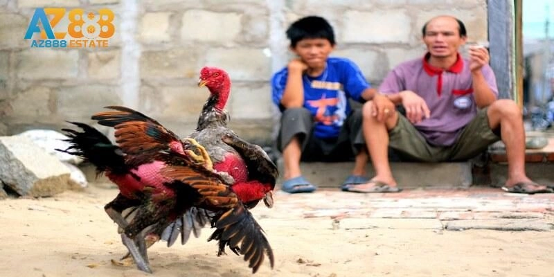 Đánh giá những điểm sáng của chuyên mục