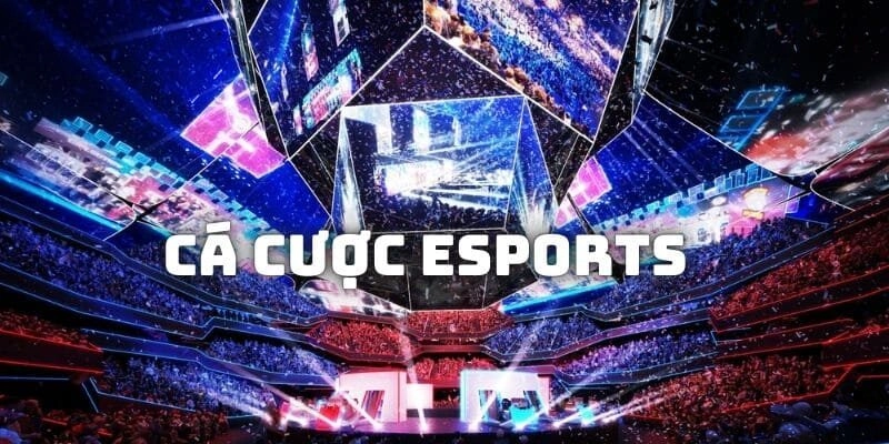 cá cược esports az888